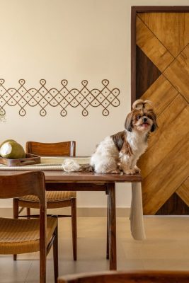 Concept-D Architects_Project Ādya_DSC02245-HDR